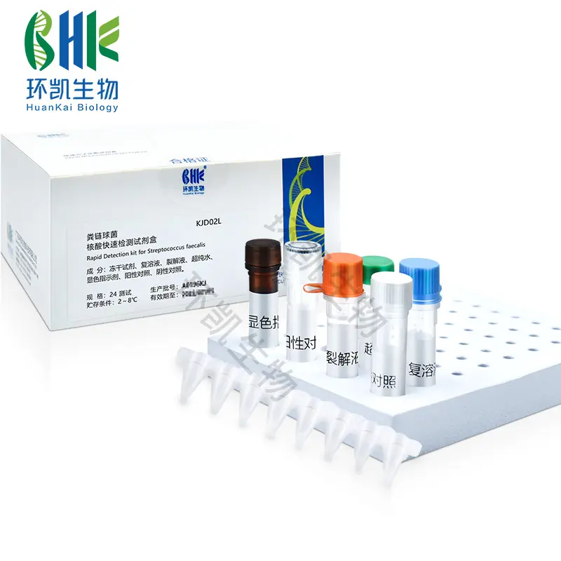 KJD02L 粪链球菌快速检测试剂盒（恒温荧光法） 24tests 环凯