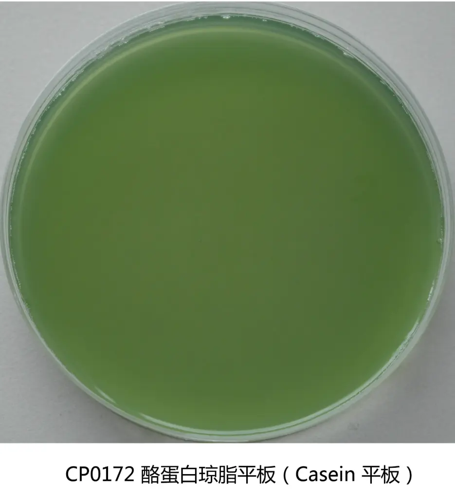 CP0172 酪蛋白琼脂平板 9cm×20个/盒 环凯