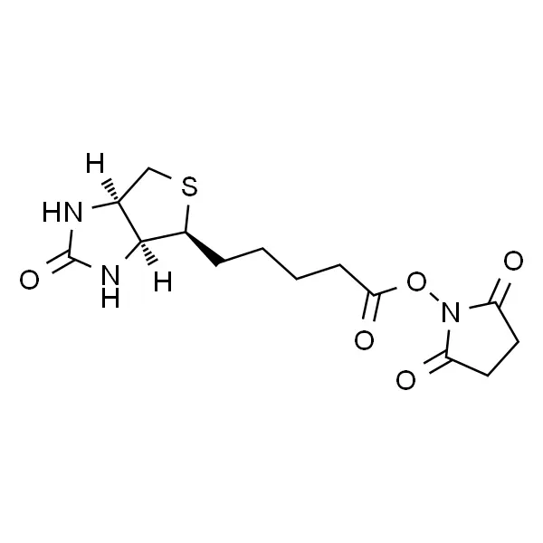 N8540-25mg 35013-72-0 生物素-N-羟基丁二酰亚胺活化脂 ≥98% 索莱宝/Solarbio