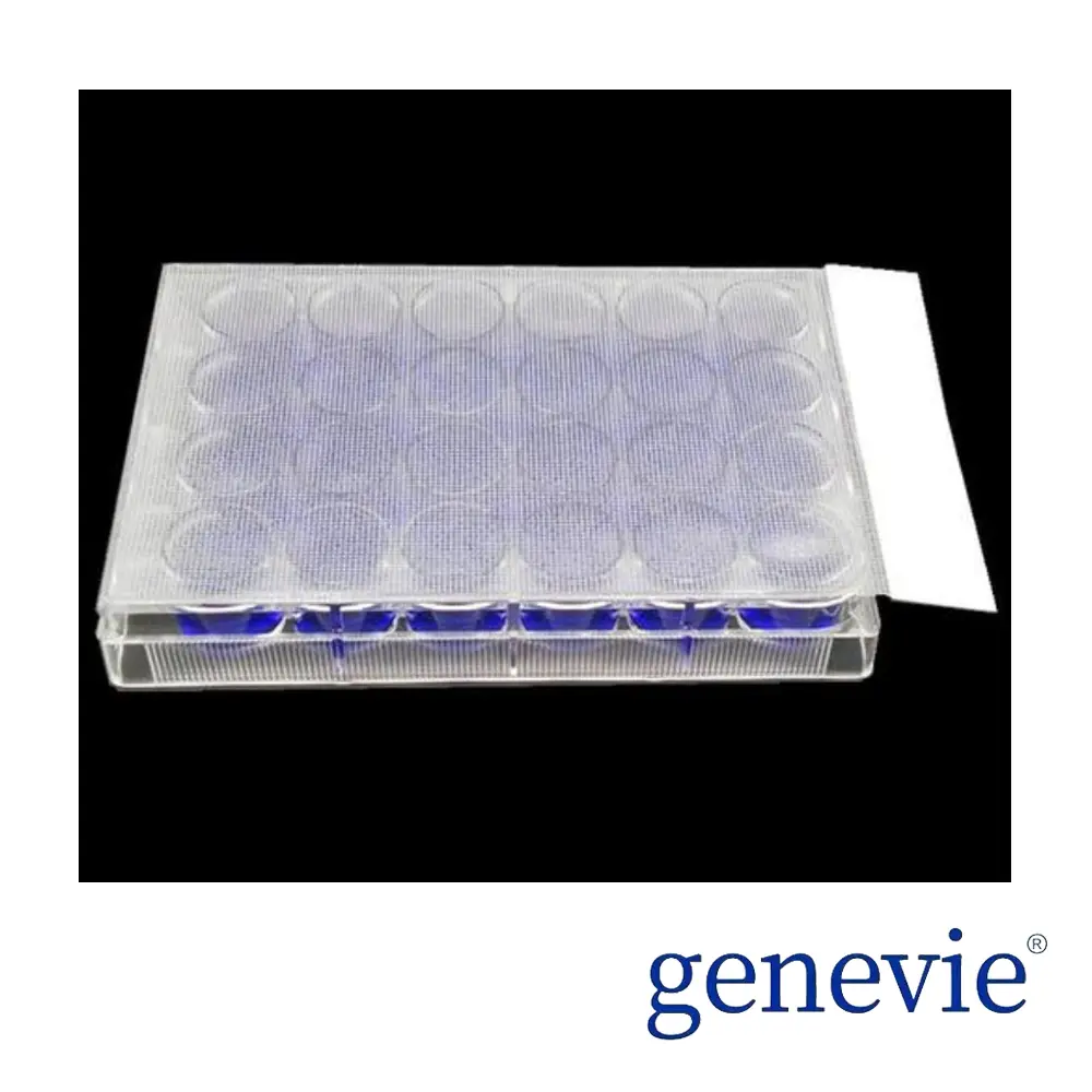 透气膜 152mm×81mm 100张/盒 用于细胞、蛋白诱导表达、样品干燥等实验。属于弱透气膜