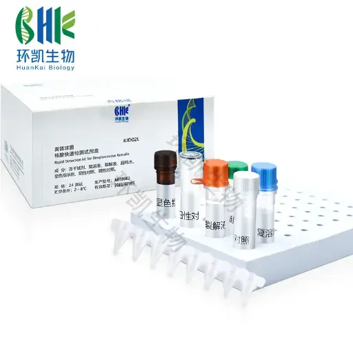 [G800478063] KJD02L 粪链球菌快速检测试剂盒（恒温荧光法） 24tests 环凯