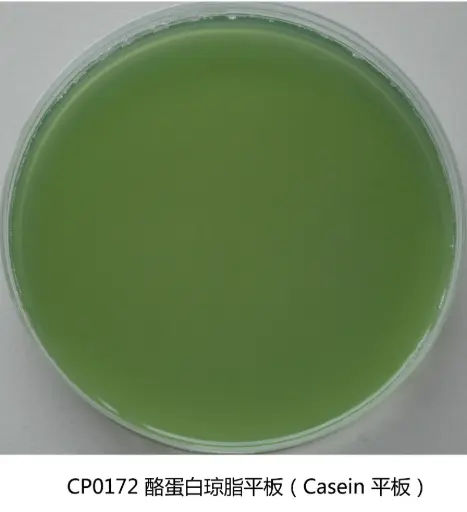 [G800478892] CP0172 酪蛋白琼脂平板 9cm×20个/盒 环凯