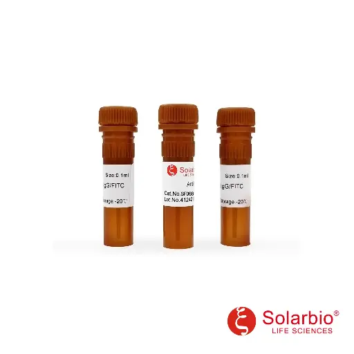 [G800002974] SF068-0.1ml  FITC标记链霉亲和素  索莱宝/Solarbio