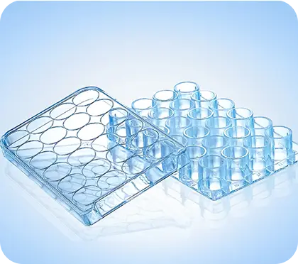 [G10003588] F1004 24孔板 24孔 1箱(独立包装 170个) 拱东