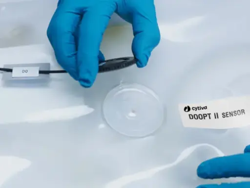 [G800504962] 28984189 Bag Sensor Adaptor 2.5m Assy Cytiva