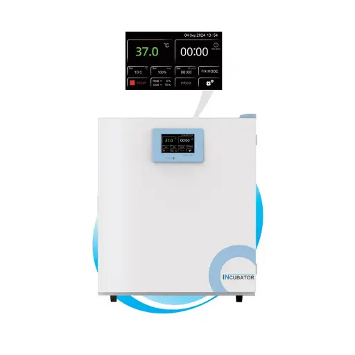 [G10000089] BISF-240 生物安全培养箱 内胆尺寸：600×630×670 外形尺寸：788×837×940 容积：240 载物托架：标配：3 最多：6 一恒