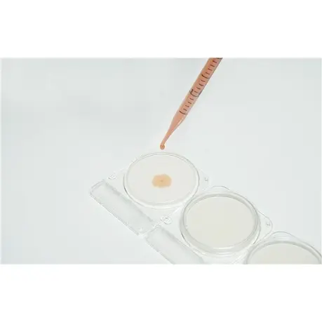 [G10001008] 54051 菌落总数测试片 1盒（350片/包，4包/盒） 1400片 岛津/Shimadzu