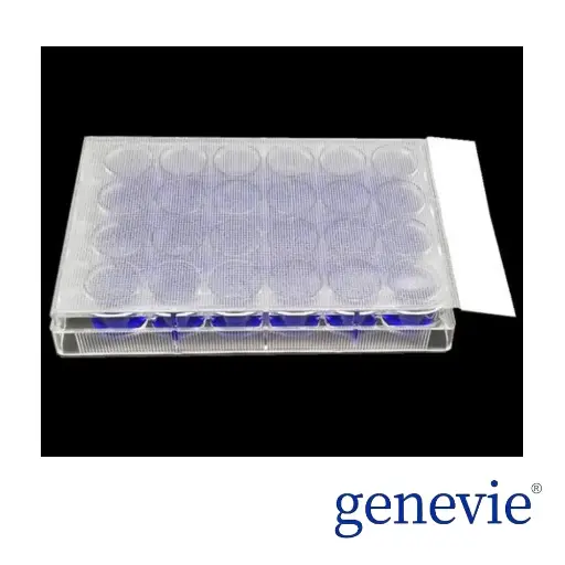 [G00000084] 透气膜 152mm×81mm 100张/盒 用于深孔板有氧培养用于质粒提取等实验。属于适中透气膜